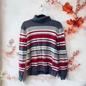 Northern Reflections Striped Turtleneck Sweater